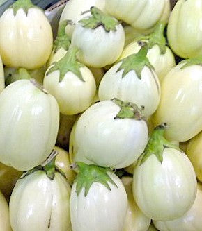 African Garden Egg - Per Pound
